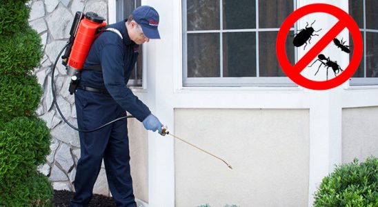 Doğanyurt Kene İlaçlama böcek ilaçlama ve haşere kontrolü — ilaclama-tr.com
